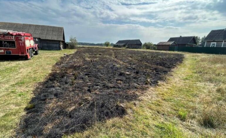 Пенсионерка получила ожоги при тушении травы на приусадебном участке