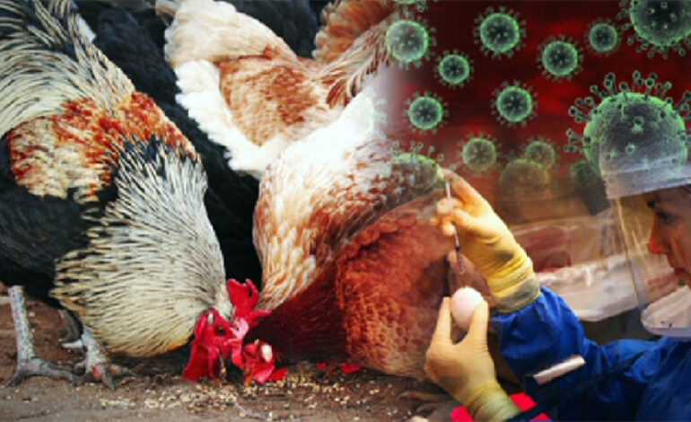 Птичий грипп