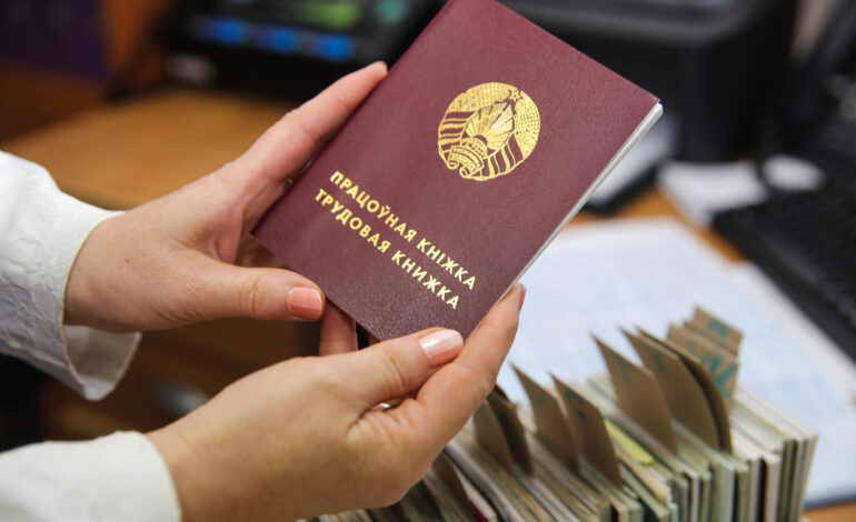 Как получить практический опыт работы по полученной профессии выпускникам колледжей и вузов