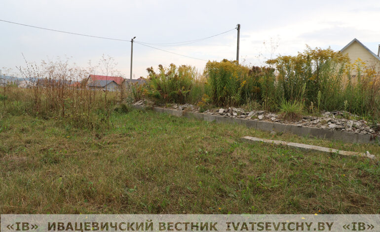 Недострой с бурьяном