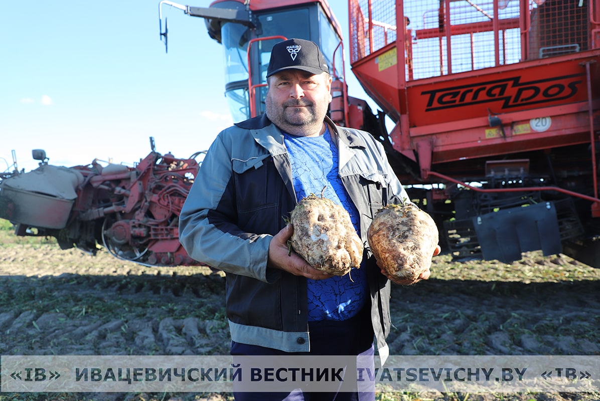 Салодкі ўраджай