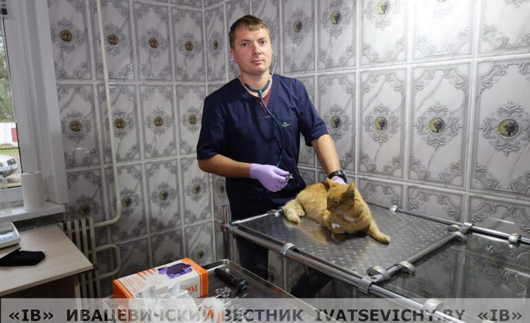 Новый уровень ветпомощи готов оказать вашим питомцам ветеринарный врач Ивацевичской участковой ветлечебницы Сергей Закорко