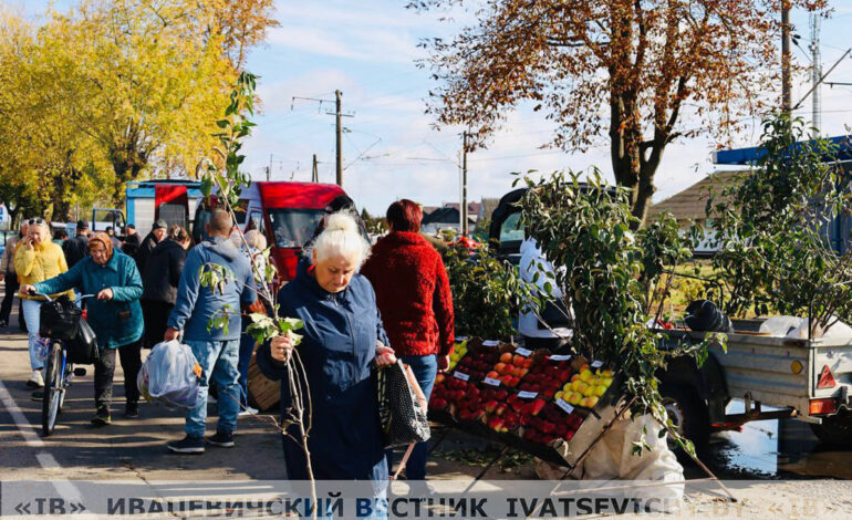 Даты проведения сельскохозяйственных ярмарок в Ивацевичском районе 