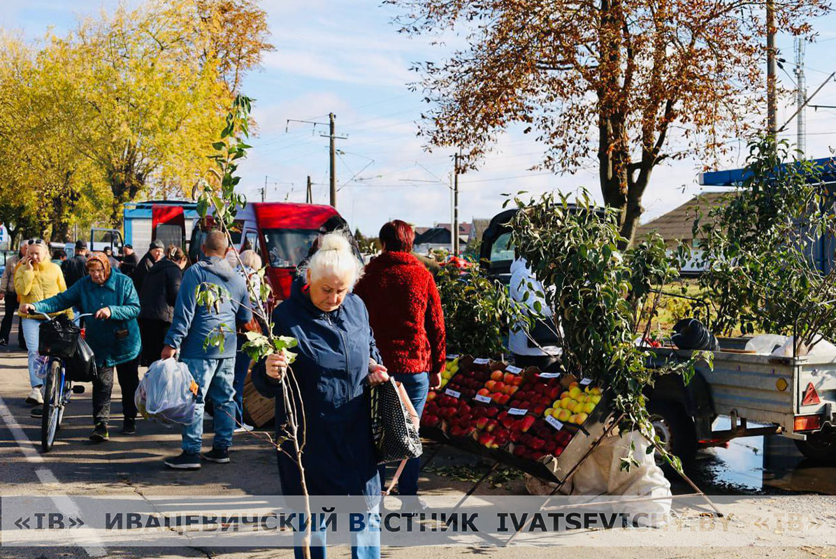 Даты проведения сельскохозяйственных ярмарок в Ивацевичском районе 