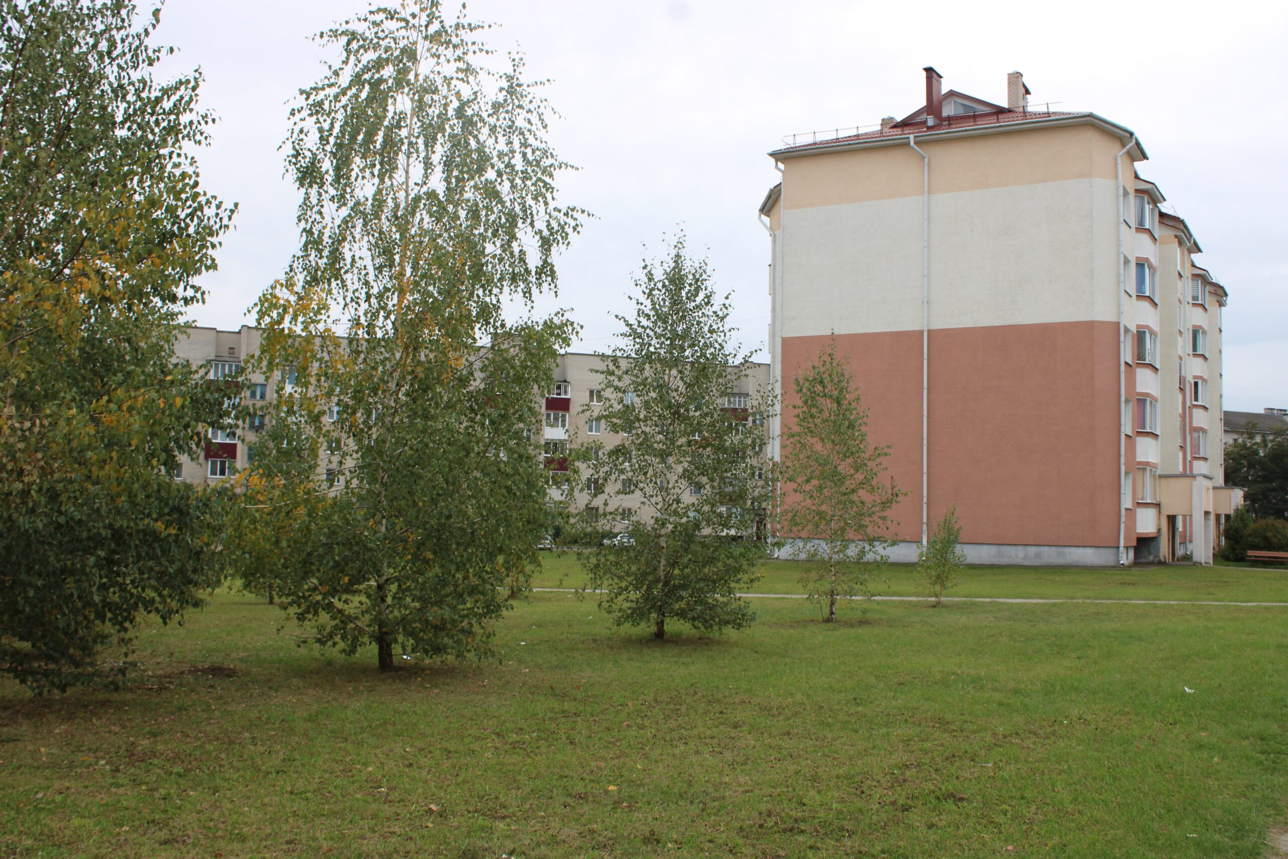 Озеленение по правилам