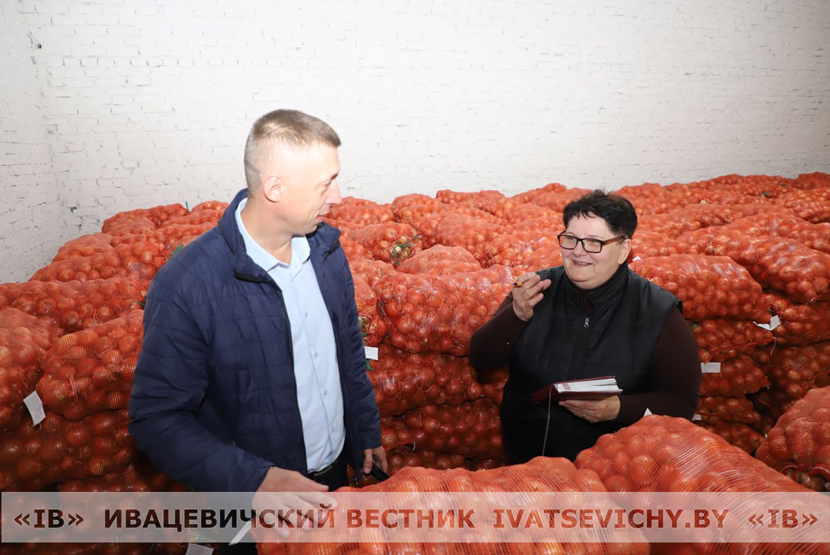 Витаминные закрома