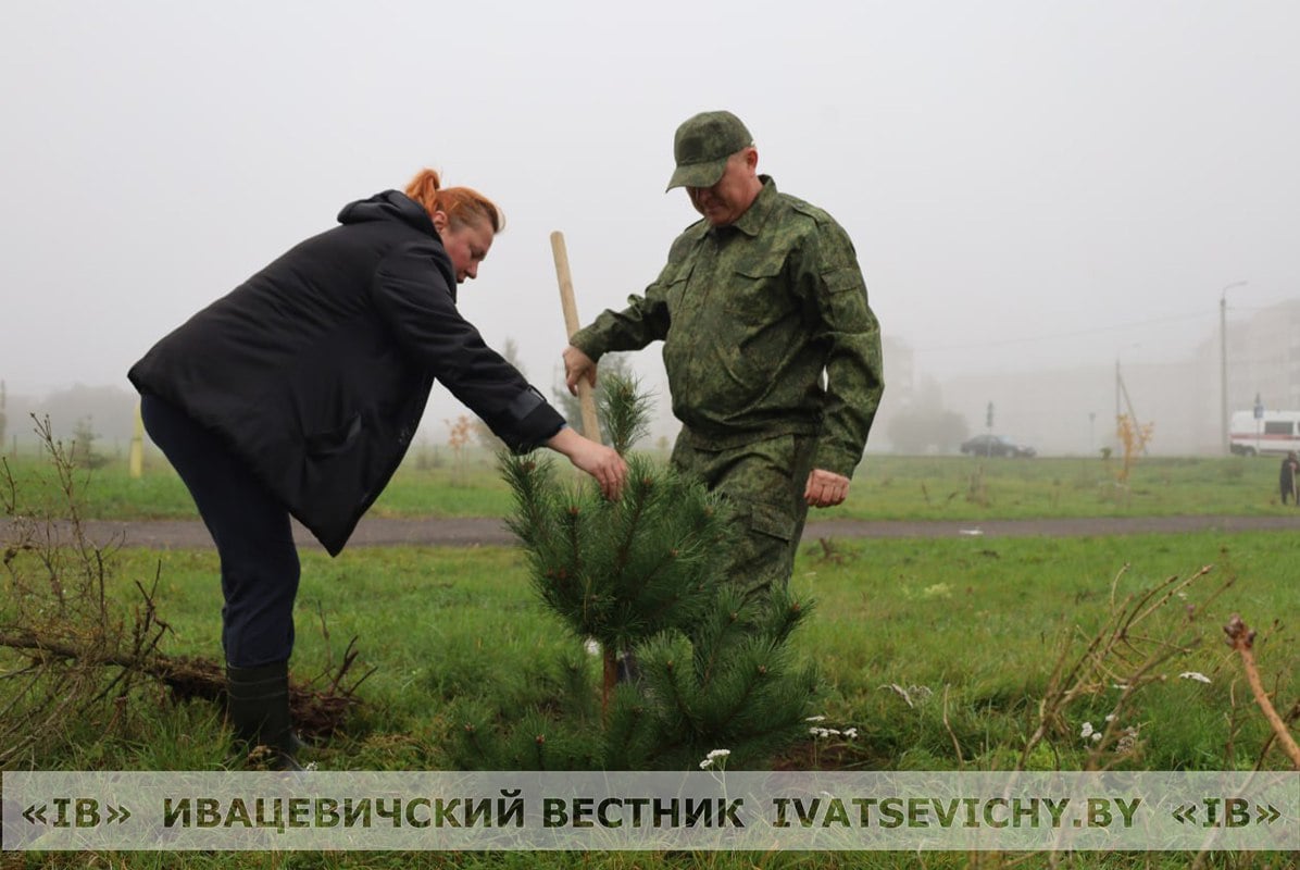 Единый день озеленения прошел сегодня в Ивацевичском районе