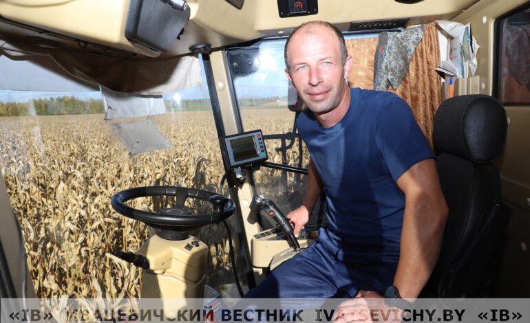 Паспела царыца палёў