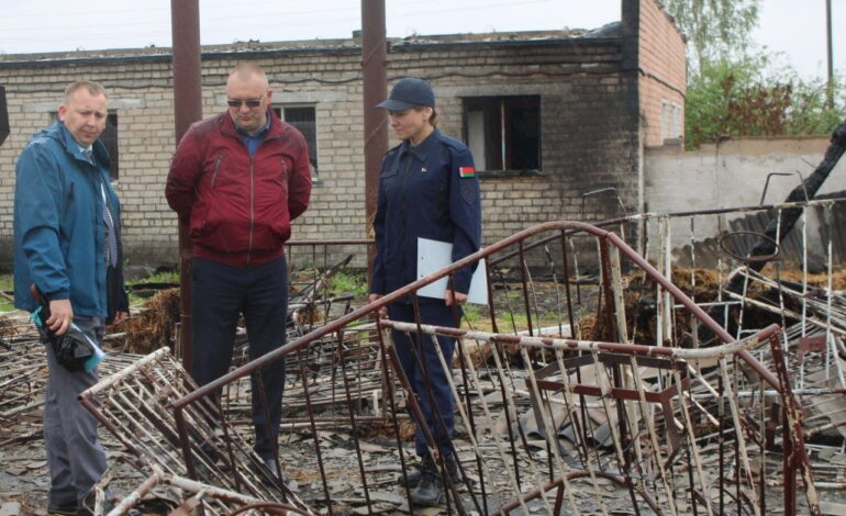 Цена халатности